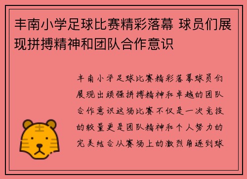 丰南小学足球比赛精彩落幕 球员们展现拼搏精神和团队合作意识