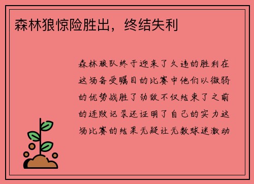 森林狼惊险胜出，终结失利