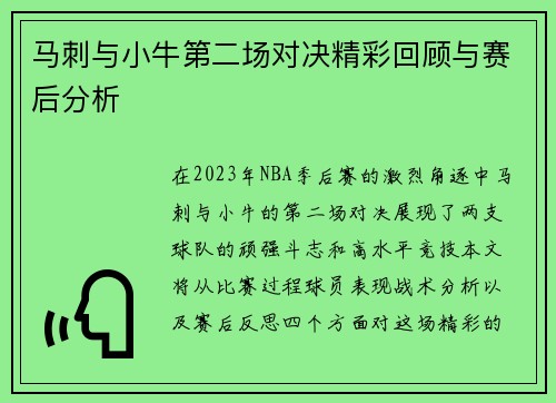 马刺与小牛第二场对决精彩回顾与赛后分析