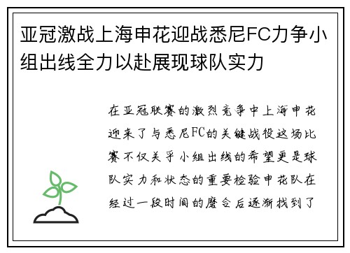 亚冠激战上海申花迎战悉尼FC力争小组出线全力以赴展现球队实力
