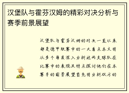 汉堡队与霍芬汉姆的精彩对决分析与赛季前景展望